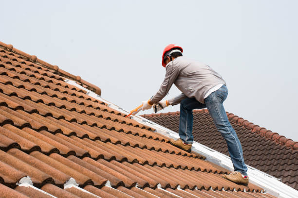 Best Roof Ventilation Installation  in USA